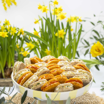 Les Clubs - 36 pièces