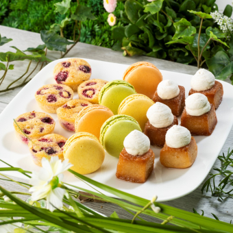 Assortiment de 18 mini traditions 